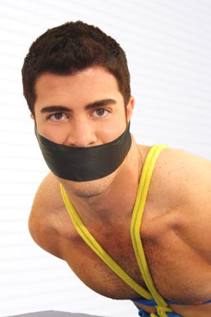 Photo of Troy Collins
