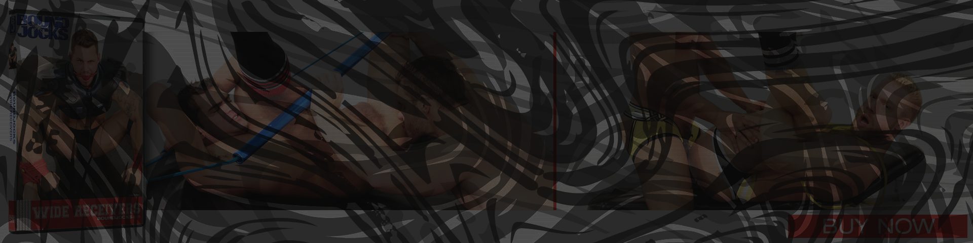 Banner of BJD010_Banner