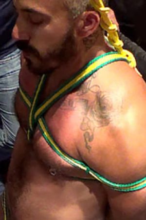 Photo of Alessio Romero