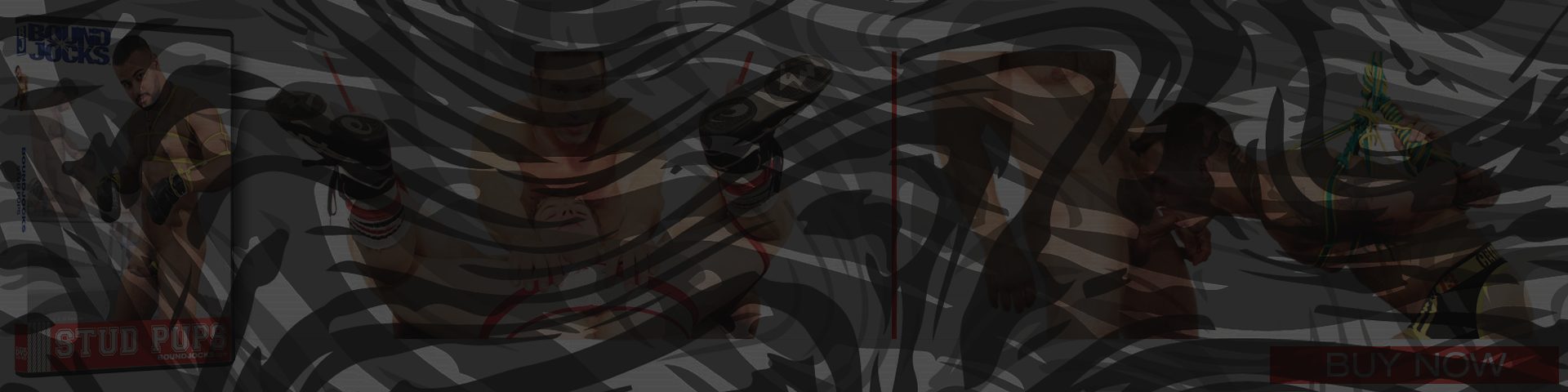 Banner of BJD009_Banner