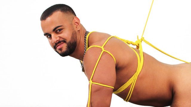 Photo of Tony Orion - Puppy Dog
